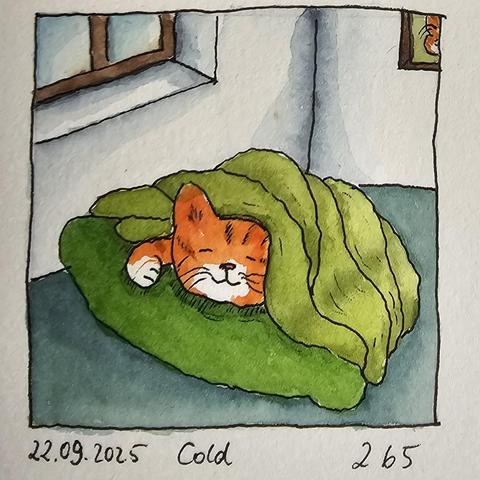 Rotgetigerte Katze schläft zufrieden unter warmen Decken auf einem Kissen, während um sie herum alles kalt zu sein scheint.

Red tabby cat sleeping peacefully under warm blankets on a cushion, while everything around her seems to be cold.
