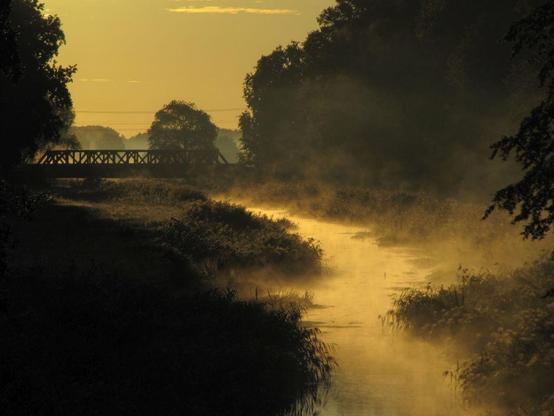 Aufnahme der "Schwarzen Elster", einem Fluss in Ostdeutschland, bei Sonnenaufgang, umgeben von Bäumen und dunstigem Nebel über dem Wasser. Foto von Rüdiger Manig / DWD