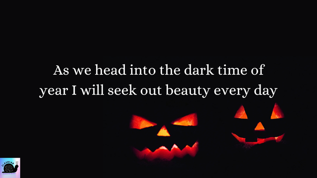 A black background, with glowing jack o lantern faces slightly right of centre. In white writing above them it says: As we head into the dark time of year I will seek out beauty every day.