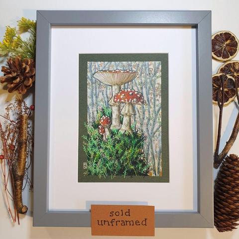 A small colour drawing of red and white fly agaric mushrooms on a mound of earth covered in mosses deep in the forest.
Fly agaric is native to the UK. It grows in woodland and heathland on light soils among birch, pine or spruce.
An original art work, sold unframed.
Colour pencil and mixed media on acid free toned artist paper
5 by 7 inches (12.7 by 17.8 cm).