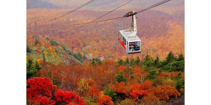 Autumn Foliage Journey in Tohoku, Japan: Must-See Scenic Spots to Visit in October