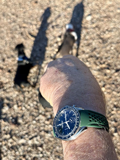 Wristwatch selfie w/dachshunds