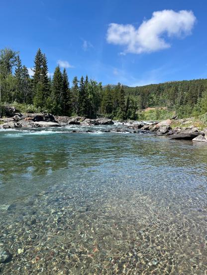 A clear river flows through a rocky landscape surrounded by dense green trees under a blue sky with a few clouds. The riverbed is visible, showing pebbles and stones beneath the clear water.