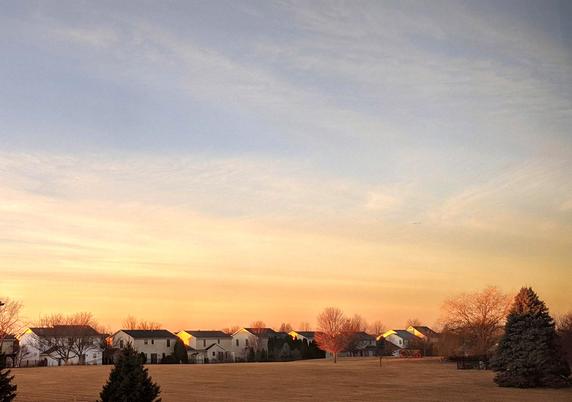 A field with houses and trees at sunrise with wispy clouds and golden accents