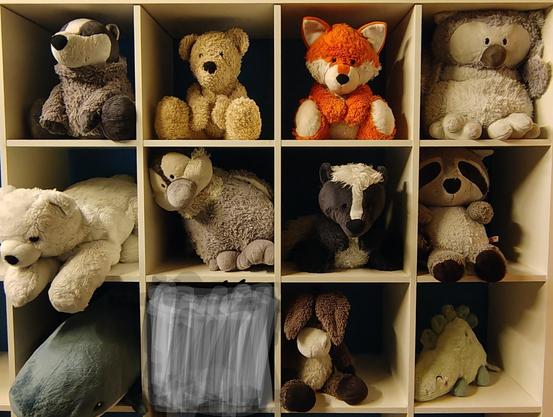 A shelf filled with 11 plushies, Rach plushie is sitting in their own square compartment in the shelf.