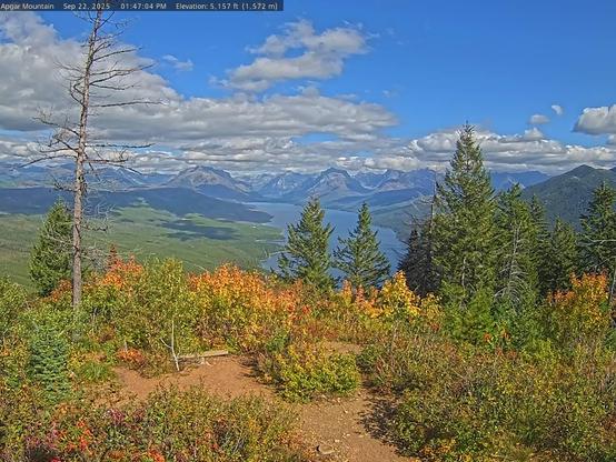 Colorful view of Lake McDonald and some of the mountains in Glacier National Park today. This image is from the National Park Service web camera site at the Apgar Lookout. Most of the sky is a pretty blue, with some well-developed clouds on the left and in the distance. The orange and yellow of the vegetation in the foreground pairs nicely with the blue of the sky and Lake McDonald. Otherwise, the trees are generally green and the exposed soil is a rich shade of brown.