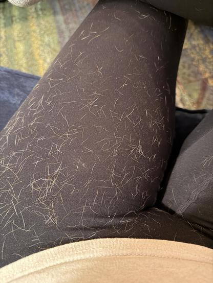 A close-up image of black leggings covered in light-colored pet hair. The background features a textured surface in various colors.