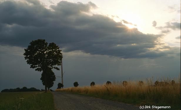 Sommer 2025 in der Bauernschaft Harle bei Coesfeld.