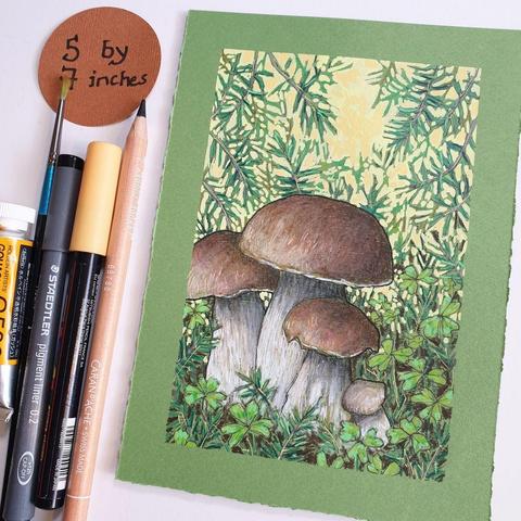 A small drawing of a group of penny bun mushrooms with clover and evergreen foliage in the undergrowth. There is a yellow and green bright background. The drawing is on green pastel paper.
An original art work, sold unframed.
Colour pencil and mixed media on acid free toned artist paper
5 by 7 inches (12.7 by 17.8 cm).