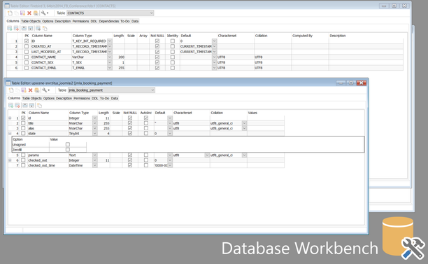 Screenshot of Database Workbench