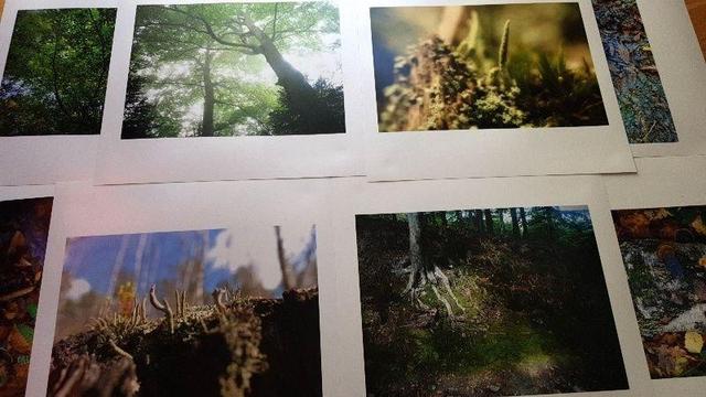 niektóre ze zdjęć z wystawy leżące jedno obok drugiego