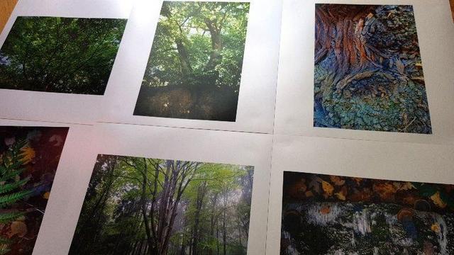 niektóre ze zdjęć z wystawy leżące jedno obok drugiego