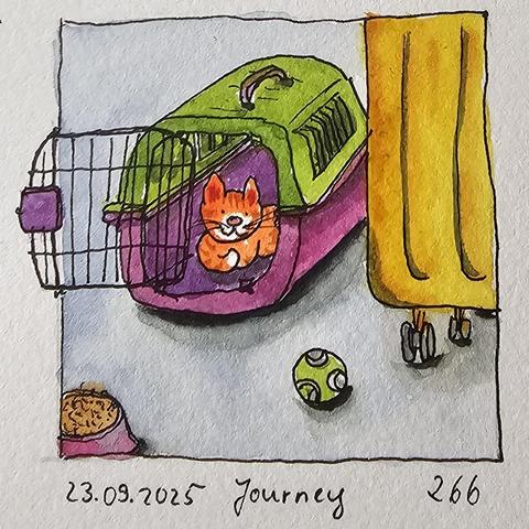 Neben einem gelben Trolley steht ein pink-grüner Reisekorb mit einer rotgetigerten Katze, die sich nicht von dem vollen Fressnapf und dem Katzenspielzeug herauslocken lässt.

Next to a yellow trolley is a pink and green travel basket with a red tabby cat that can't be tempted away from the full bowl of food and the cat toy.