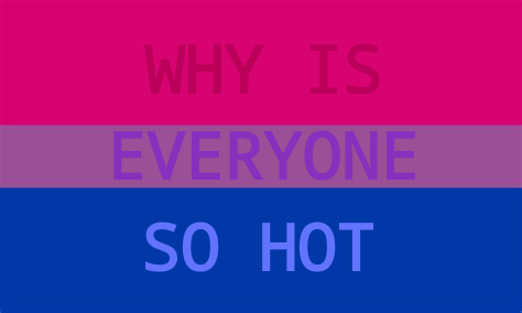Bisexual flag with '' why is everyone so hot '' written on it