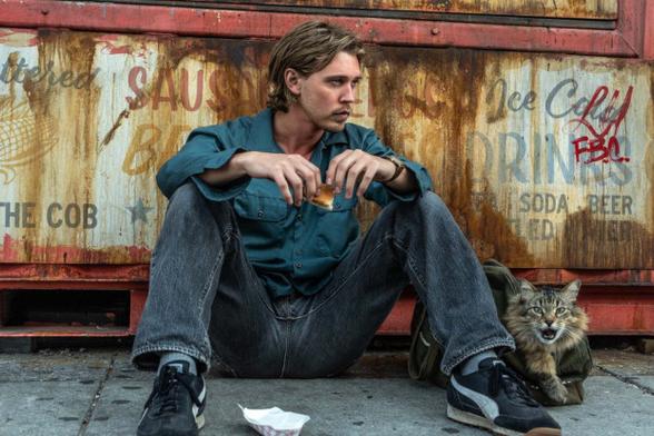 Austin Butler et le chat dans Pris au piège