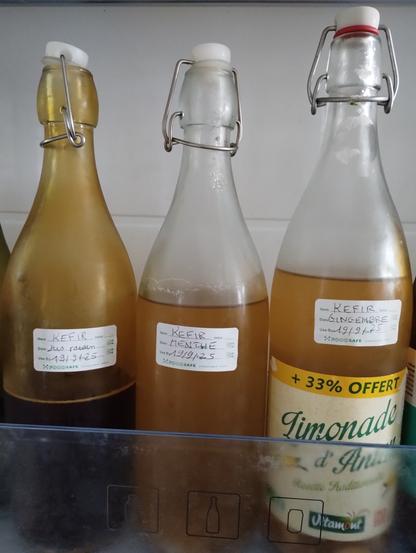3 bouteilles de kefir de fruits aromatisées : une menthe, une gingembre et une jus de raisin