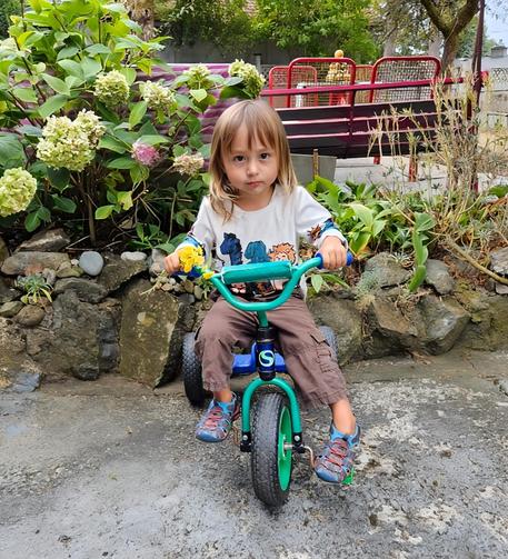 A young child with blonde hair sits on a teal tricycle, looking directly at the camera. The child is wearing a white shirt with blue animal graphics, and brown pants. The tricycle is parked on a concrete surface near a rock wall and flowering bushes.  A red metal picnic table is visible in the background.