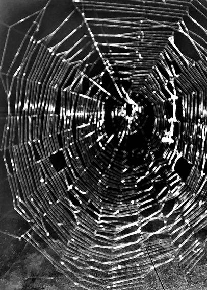 Image of a spider's web anchoring the corner of a garage doorway, Bath Township, Summit County, Ohio, USA. Image shows an intricately woven spider's web against the black background of night.