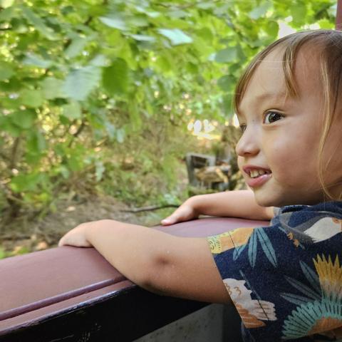 A young child with light brown hair and a floral-patterned shirt leans on a wooden railing, gazing towards the left with a joyful expression against a backdrop of lush green foliage.