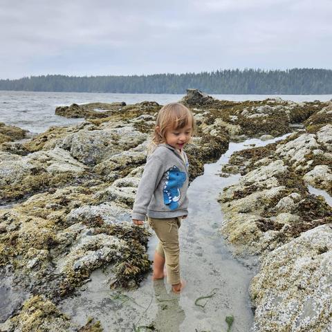 A young child in a gray dinosaur hoodie and ripped khaki pants walks barefoot in a shallow tidal pool on a rocky shore, with the ocean and a forested shoreline in the background under an overcast sky.