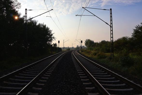 A railway track extends into the distance, with two sets of parallel lines curving gently to the right under a wide, pale blue sky with hints of faint clouds. Overhead electrical lines are visible, supported by dark gantry structures that frame the tracks. The sun, partially obscured by dark foliage on the left, casts a bright lens flare. On both sides of the tracks, there's dense, dark green undergrowth and trees, creating a slightly melancholic or tranquil atmosphere.