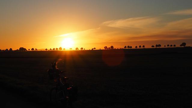 Die Sonne kommt über den Horizont, Bäume werden zu Schattenrissen. Himmel in orange bis Blau