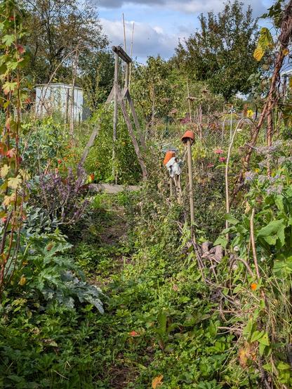 Blick in den septemberstruppigen Gemüsegarten
