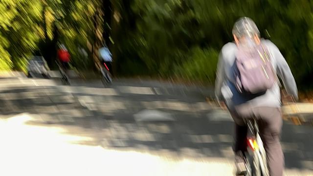 Three blurry cyclists on a pave road that is surrounded by vegetation.
