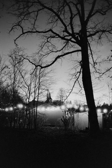 Web of time

#Leica #LeicaM6 #M6 #Kodak #Double-X #5222 #pushedfilm #XT-3 #analog #shootfilm #film #photography #BelieveInFilm