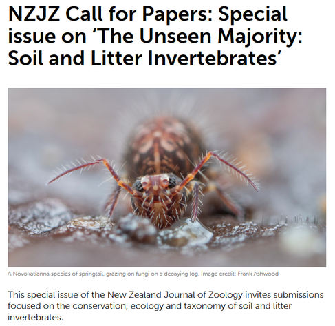 A screenshot of a webpage making a call for papers announcement for a special issue of the New Zealand Journal of Zoology, focussed on soil and litter invertebrates. The page has a banner image photograph of a globular springtail facing towards the camera, with its head down, feeding on fungi on a decaying log.