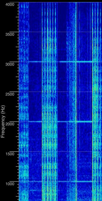 Spektrum des Fiepens