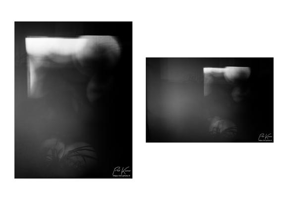 Diptyque sur fond blanc de deux photos en noir et blanc, la première en format vertical, et la seconde en format horizontal, présentant le même sujet : les ombres projetées sur un mur blanc de la lumière solaire filtrée par la ramure d'un arbre (ici, on est dans le flou), et l'ombre des feuilles d'un plant de chlorophytum, bien plus nette, en bas du cadrage des deux photos, mais aussi dans le coin supérieur gauche de la photo en format horizontal.