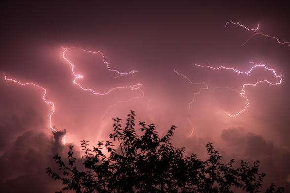 Das Bild zeigt eine dramatische nächtliche Szene mit Gewitterblitzen am Himmel. Mehrere helle Blitze ziehen sich verzweigt über den Himmel, ihre Lichtspuren wirken fast wie Adern, die sich durch die Wolken schlängeln. Der Himmel selbst ist in ein rötlich-violettes Licht getaucht, was die Szenerie sehr eindrucksvoll und fast mystisch erscheinen lässt. Im unteren Teil des Bildes erkennt man die dunkle Silhouette von Bäumen, deren Umrisse scharf gegen das grell erleuchtete Gewitter leuchten. Die Wolken sind mächtig und bedrohlich, teilweise von den Blitzen durchdrungen. Die gesamte Stimmung des Bildes wirkt kraftvoll, bedrohlich und zugleich faszinierend – eine Momentaufnahme der rohen Energie der Natur.