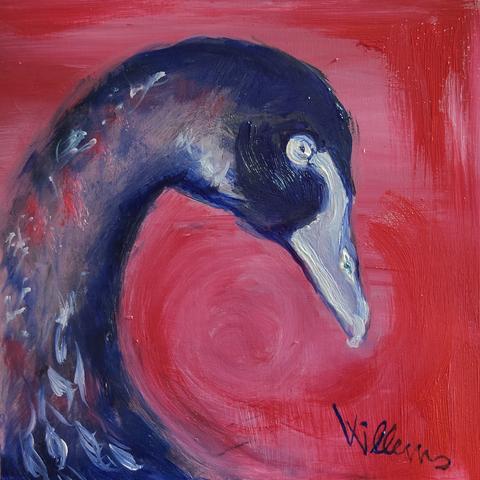 schwarzer Schwan im Profil, blau-rot