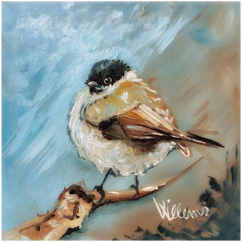 aufgeplusterter kleiner Wintervogel