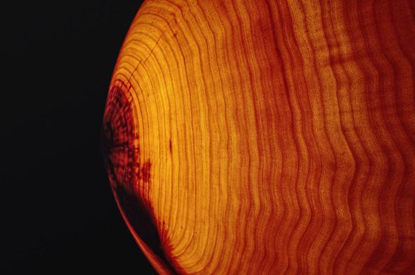 Une applique lumineuse en bois : une demi-sphère en bois dont on devine la finesse de l'épaisseur car elle laisse passer la lumière, révélant les stries en zigzags concentriques du bois.