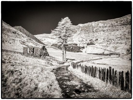 A toned black and white infrared photo of a track with a fence of upright slate slabs to the left and an enclosure with low slate walls to the right, around a ruined stone building and a tree. In the background the track curves right, then left, to rise up  across the face of a hill in the distance.