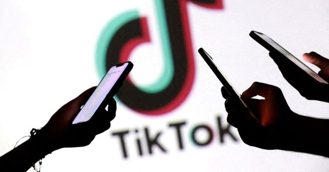 ＴｉｋＴｏｋ、カナダで子どもの機密データ収集＝当局者 | ロイター