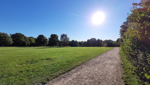 Querformat in Farbe. Blick über eine grüne Parkplätze, rechts führt ein, von spätsommerlich belaubten Büschen gesäumter, Sandweg entlang, am Horizont wachsen große Laubbäume. Der Himmel.ist strahlend blau, die Sonne scheint von vorne. Das Gelände ist leicht abschüssig.