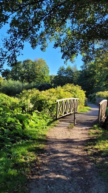 Hochkant in Farbe. Blick einen Sandweg entlang, der über zwei kleine, geschwungene Holzbrücken führt. Links und rechts üppiges grün, am oberen Bildrand und weiter hinten grün belaubte Bäume. Der Himmel ist blau, das Licht spätsommerlich .