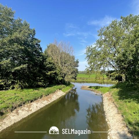 Nach 22 Kilometern, 8,8 Kilometer davon auf Selmer Stadtgebiet, mündet die Funne in die Stever. Foto: Oliver Hübner - SELMagazin, Foto der Woche