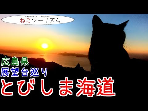 【猫と旅行】『とびしま海道』展望台巡り【広島県】