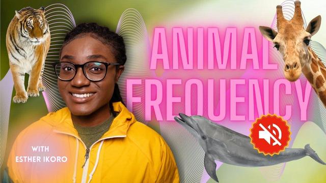 A woman in a yellow hoodie and glasses smiles at the camera, surrounded by illustrated animals including a tiger, giraffe, whale, and dolphin with "Animal Frequency" text and a muted sound icon.