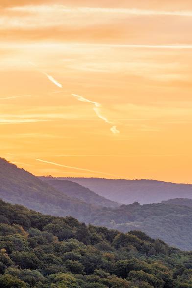Das Bild zeigt eine Landschaft bei Sonnenuntergang. Im Vordergrund sind bewaldete Hügel zu sehen, die in mehreren Schichten gestaffelt sind. Die vorderste Schicht ist in einem dunklen, satten Grün gehalten, während die weiter hinten liegenden Hügel zunehmend in Blautönen verschwimmen. Diese Staffelung erzeugt eine Tiefenwirkung, die die Weite der Landschaft betont.
Über den Hügeln erstreckt sich ein leuchtend gelb-oranger Himmel, der von den Strahlen der untergehenden Sonne gefärbt wird. Einige dünne Wolkenstreifen und deutlich sichtbare, weiße Kondensstreifen von Flugzeugen ziehen sich durch den Himmel. Diese Streifen sind langgezogen und teilweise schräg, was dem Himmel eine dynamische Struktur verleiht.
Das gesamte Bild hat eine warme, ruhige Atmosphäre. Der Kontrast zwischen den dunkleren Hügeln und dem hellen, leuchtenden Himmel ist sehr stark.