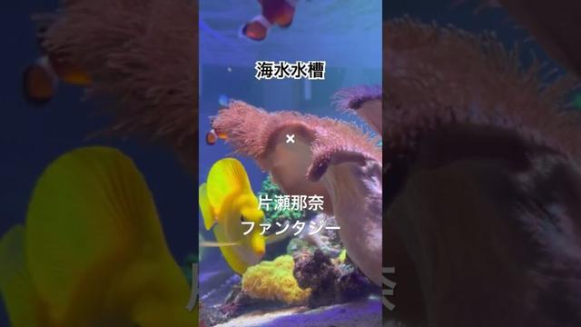 海水水槽✖ #片瀬那奈 #ファンタジー / #Fantasy #ヒカルの碁 #GALAXY #TELEPATHY #HikaruNoGo #囲碁 #ジャンプ #2002
