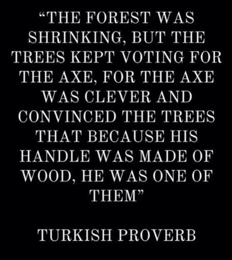 “THE FOREST WAS SHRINKING, BUT THE TREES KEPT VOTING FOR THE AXE, FOR THE AXΕ WAS CLEVER AND CONVINCED THE TREES THAT BECAUSE HIS HANDLE WAS MADE OF WOOD, HE WAS ONE OF THEM"

TURKISH PROVERB