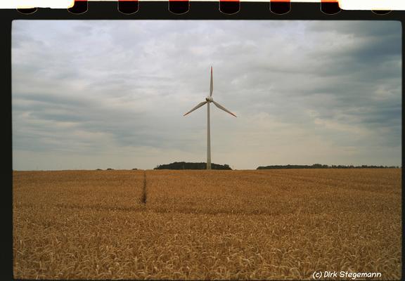 Sommer 2025 in der Bauernschaft Harle bei Coesfeld.