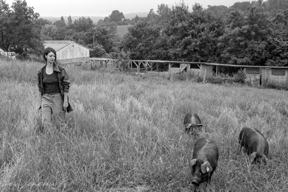 In a meadow, farmer Noémie C. accompanies her free-range pigs. At the end of the pasture, you can see the animals' wooden huts and a rural environment (fields, trees).