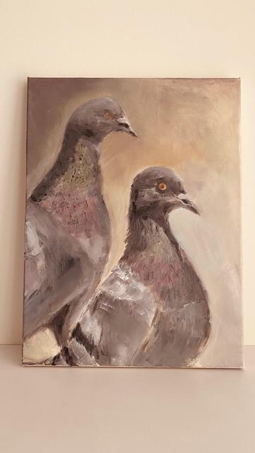 2 pigeons, looking at the camera
