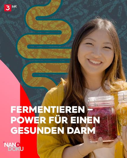 Eine junge Frau strahlt in die Kamera. Im Arm hält sie große Gläser mit fermentierten Lebensmitteln. Im Hintergrund eine piktogrammartige Grafik mit Darm voller Mikroorganismen. Oben Links das 3sat-Logo, unten die Schlagzeile: Fermentieren -Power für einen gesunden Darm.